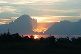 Stay Strong Stay Strong