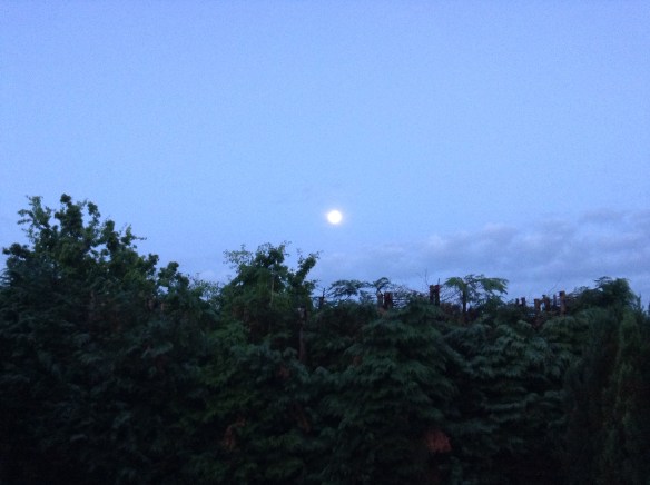 Moonlight Sky from Clarabelle's Back Garden 24.07.13