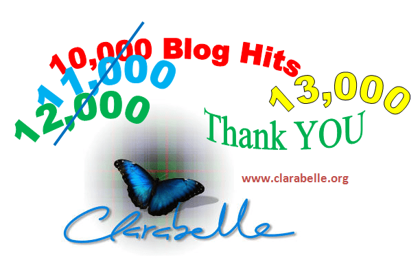 Blog hits 13000