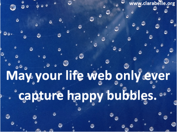 Clarabelle Quotes, may your web of life