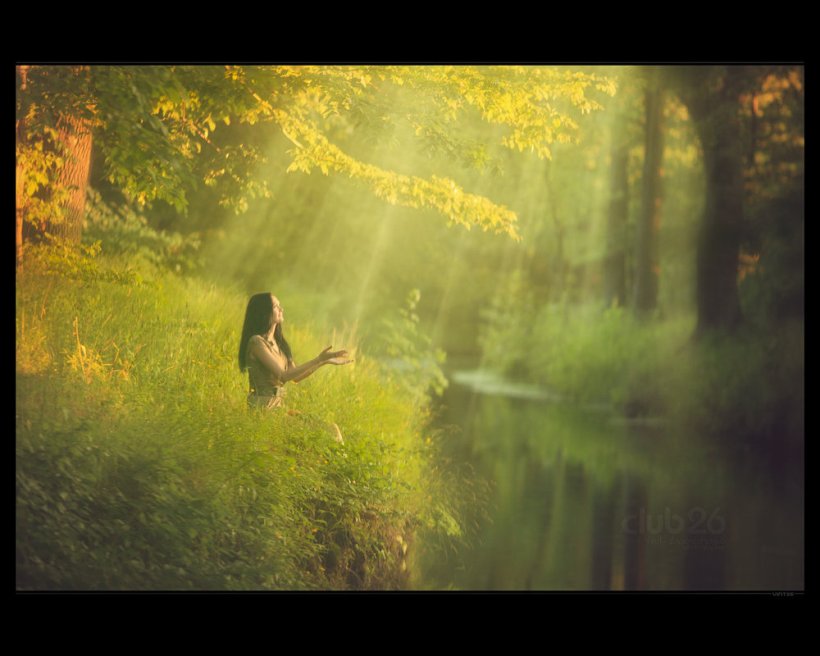 Happy Morning images