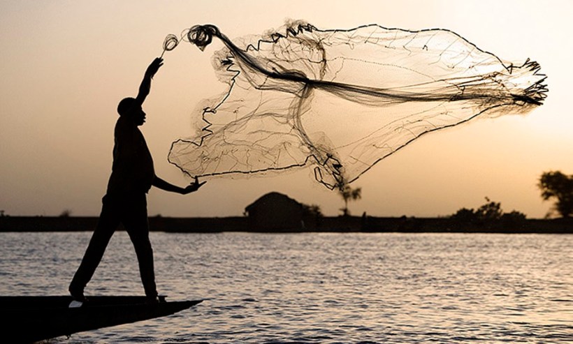 cast your net images