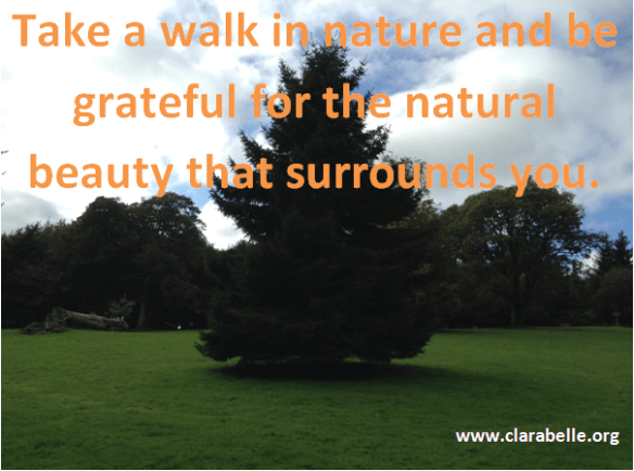 Take a walk in nature