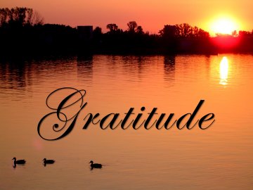 Gratitude